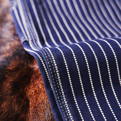 Hickory Stripe Painter Pants V1045
