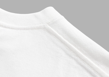 Heavyweight Cotton T-Shirt V0942